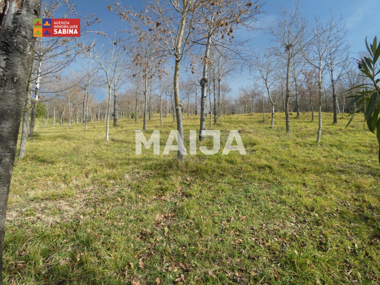 3 bedroom villa 270 m² Montopoli di Sabina, Italy