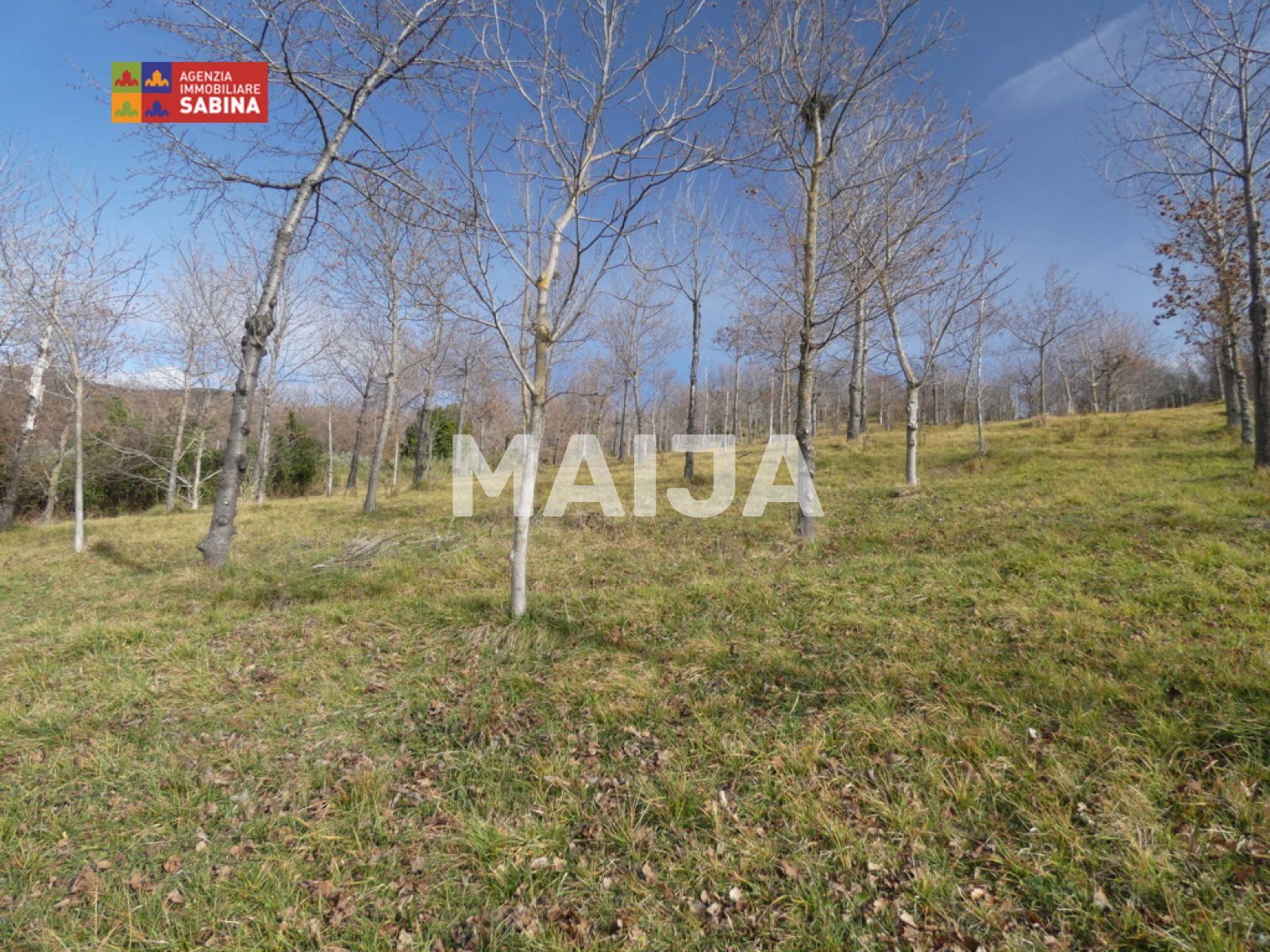 3 bedroom villa 270 m² Montopoli di Sabina, Italy