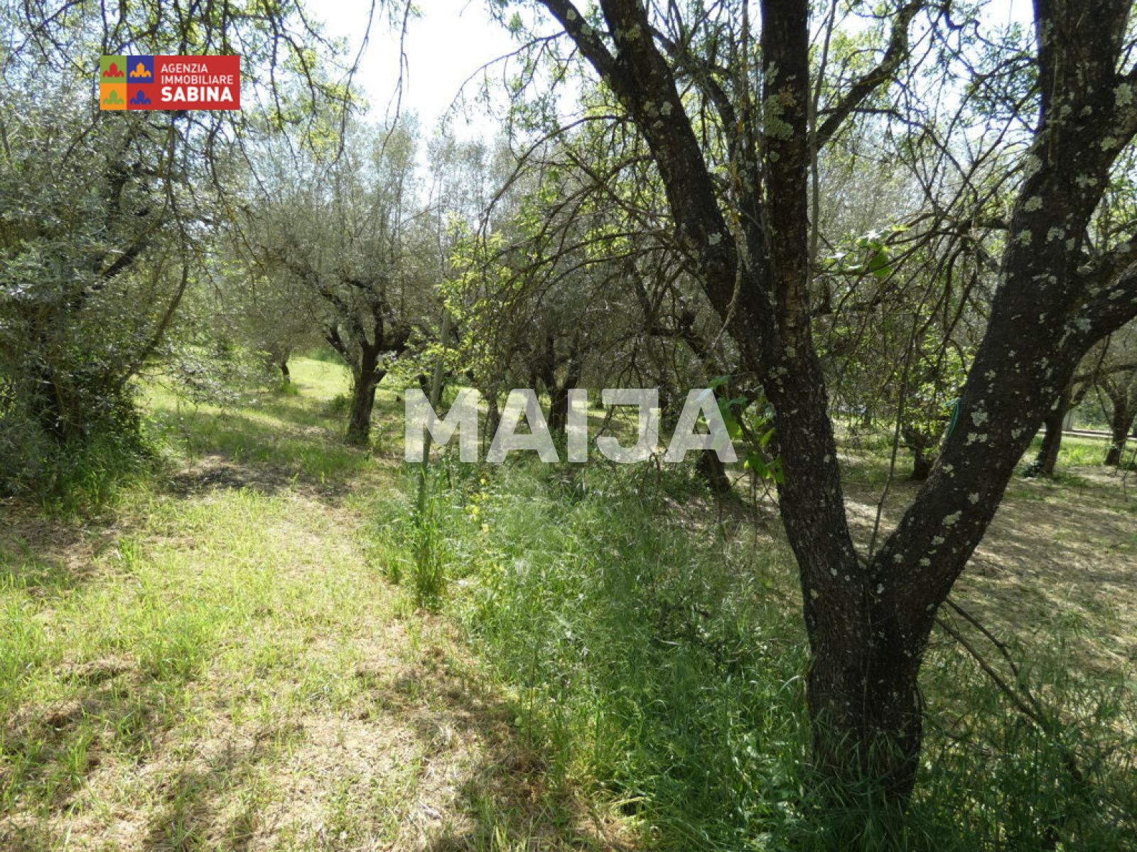 2 bedroom Villa 80 m² Poggio Mirteto, Italy