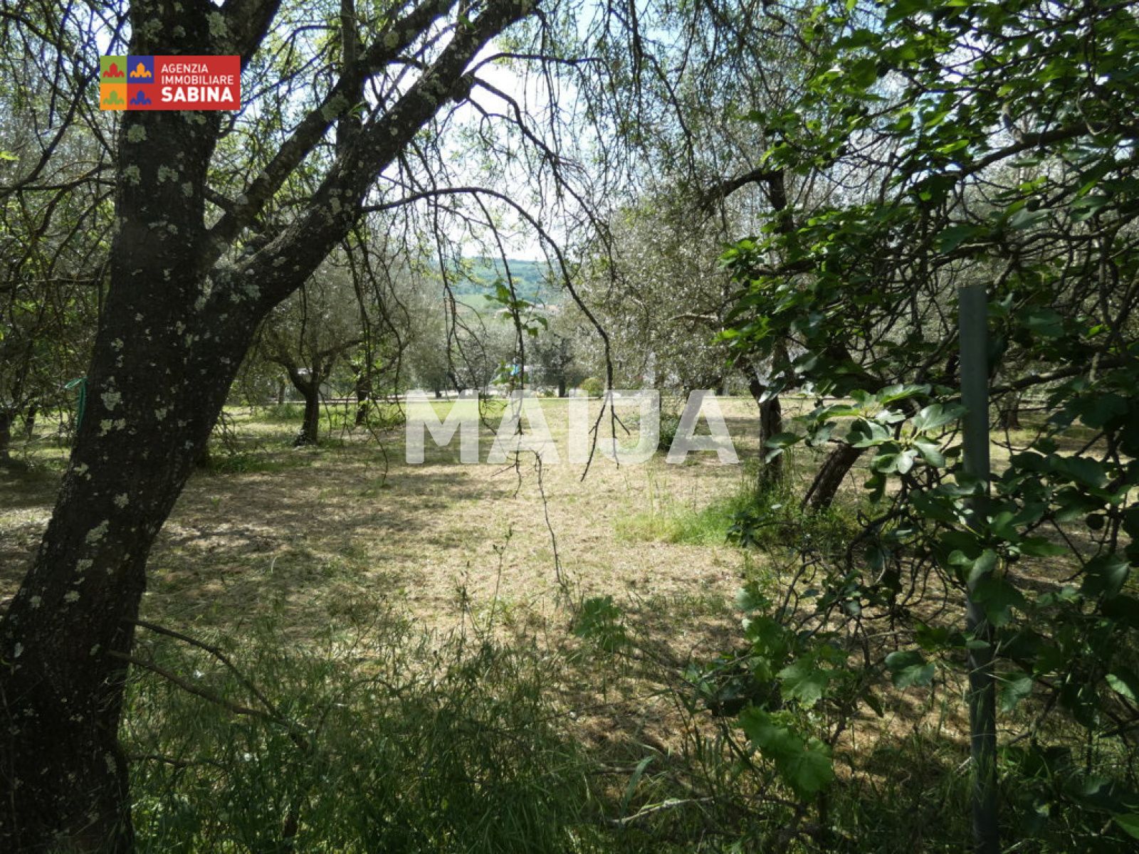 2 bedroom Villa 80 m² Poggio Mirteto, Italy